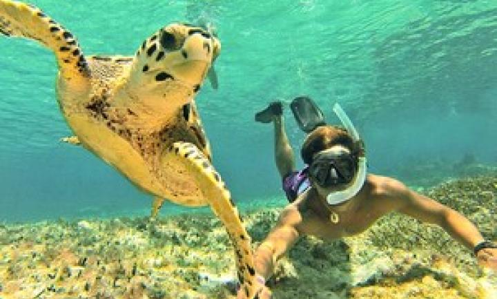The Best GoPro Accessories For Diving